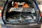 2027 Mercedes-Benz GLS GLS 450 4MATIC®