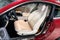 2027 Mercedes-Benz CLE CLE 450 4MATIC®