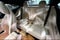2027 Mercedes-Benz CLE CLE 450 4MATIC®