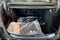 2027 Mercedes-Benz S-Class S 580 4MATIC®