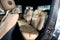 2027 Mercedes-Benz G-Class G 580 4MATIC®